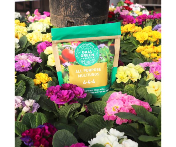 Gaia Green All Purpose, 2 kg Pouch - Image 3