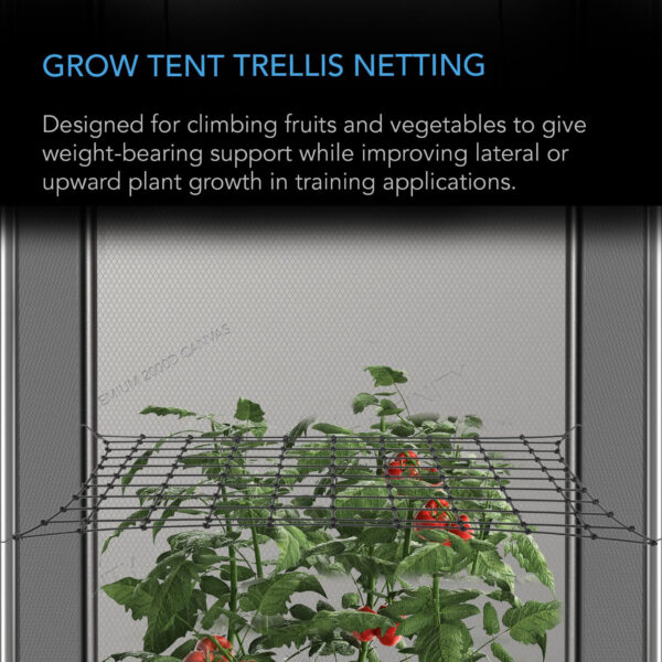 Grow Tent Trellis Netting, Flexible Elastic Cords, 4x4’ - Image 5