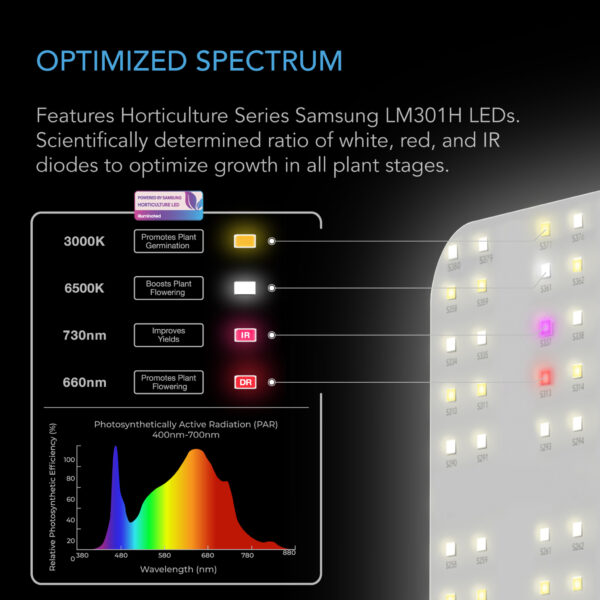 IONBOARD S24, Full Spectrum LED Grow Light 220W, Samsung LM301H, 2x4 Ft. Coverage - Image 6